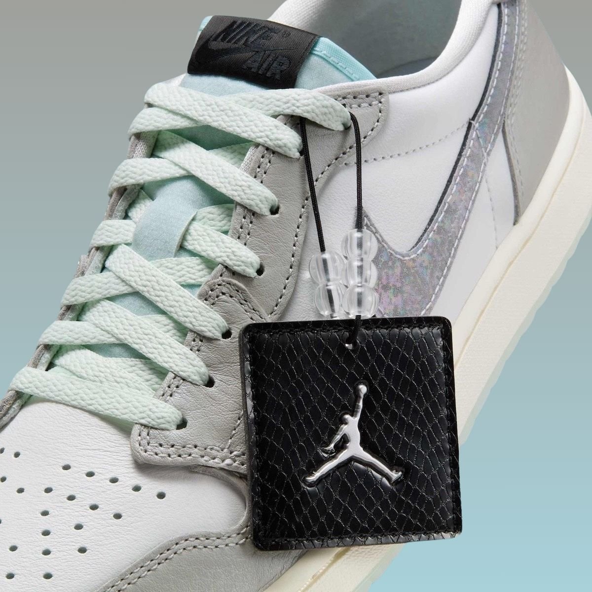 year of the snake jordan pack