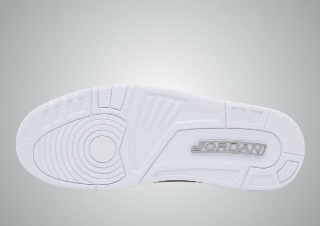 Air Jordan 3 Pure Money 2025 Release Info