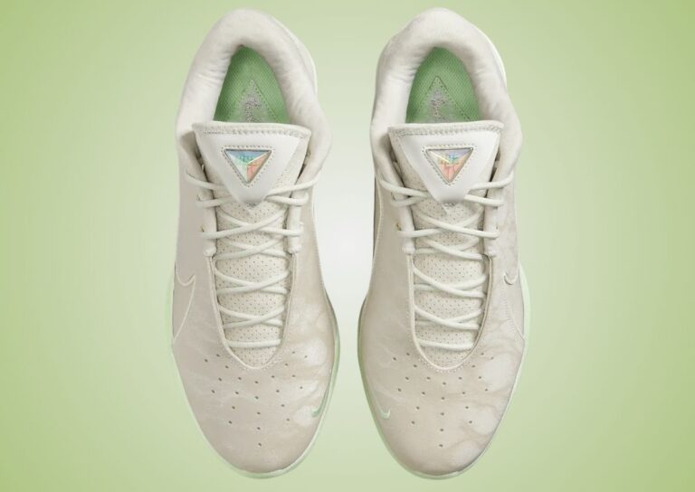 Dunkman Nike LeBron 22 Dunkman FZ1094-002 | SneakerFiles