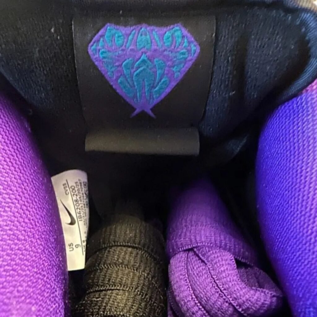 Dashawn Jordan Nike SB Dunk Low IB6208-200