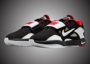 Nike LeBron 21 Prime 93 HQ3480-001 Release Info