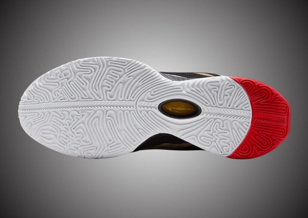 Nike LeBron 21 Prime 93 HQ3480-001 Release Info