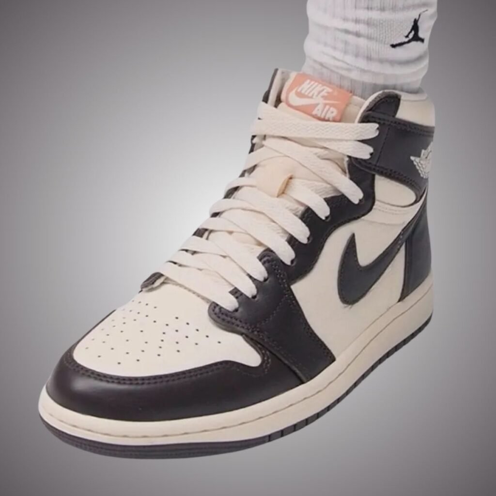 Air Jordan 1 High OG Baroque Brown Light Madder Root FD2596-200