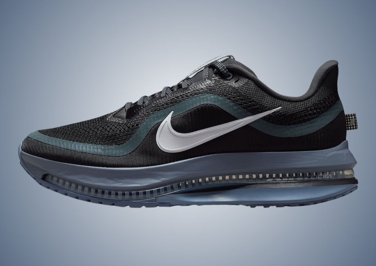 Nike Pegasus Premium Anthracite HQ2592006 SneakerFiles