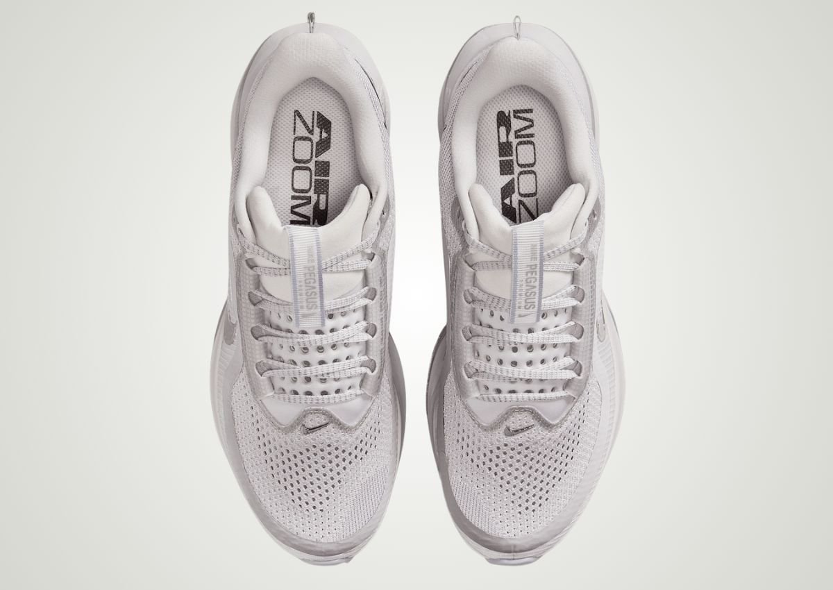 Nike Pegasus Premium Metallic Silver Swoosh HQ2593005 SneakerFiles