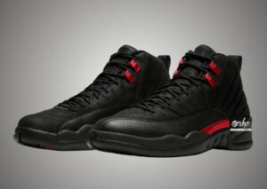 Air Jordan 12 Bloodline CT8013-001 | SneakerFiles
