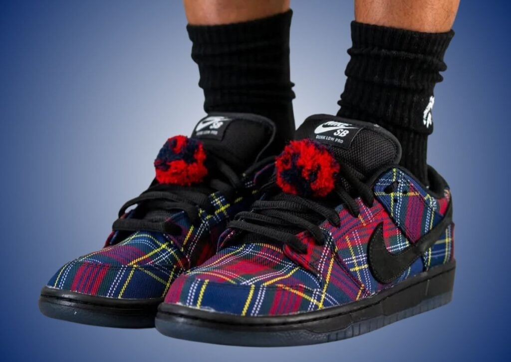 Nardwuar Nike SB Dunk Low On-Feet