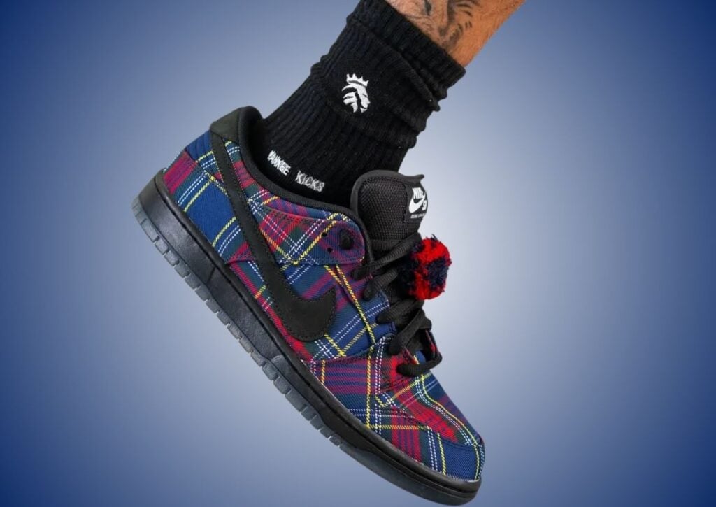 Nardwuar Nike SB Dunk Low On-Feet