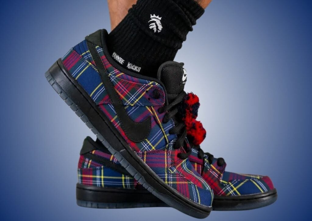 Nardwuar Nike SB Dunk Low On-Feet