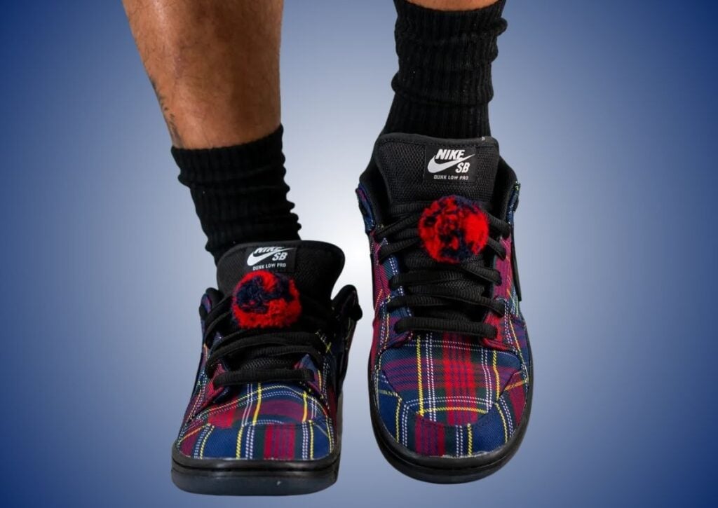 Nardwuar Nike SB Dunk Low On-Feet