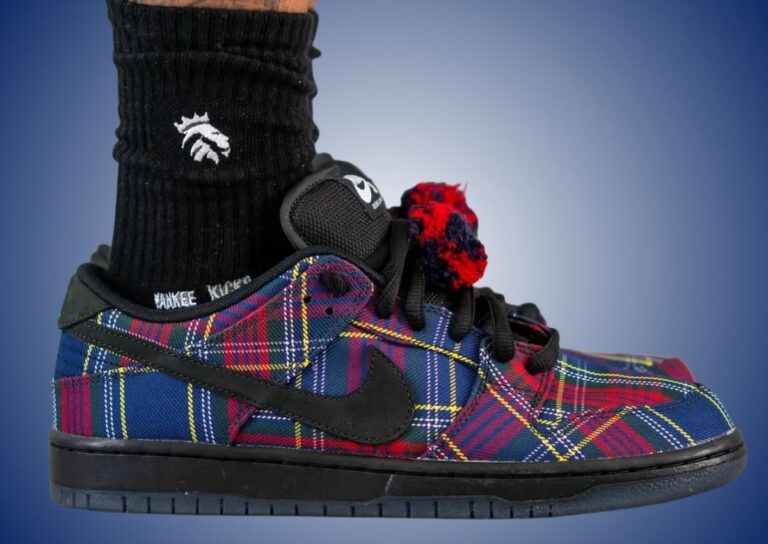Nardwuar Nike SB Dunk Low On-Feet
