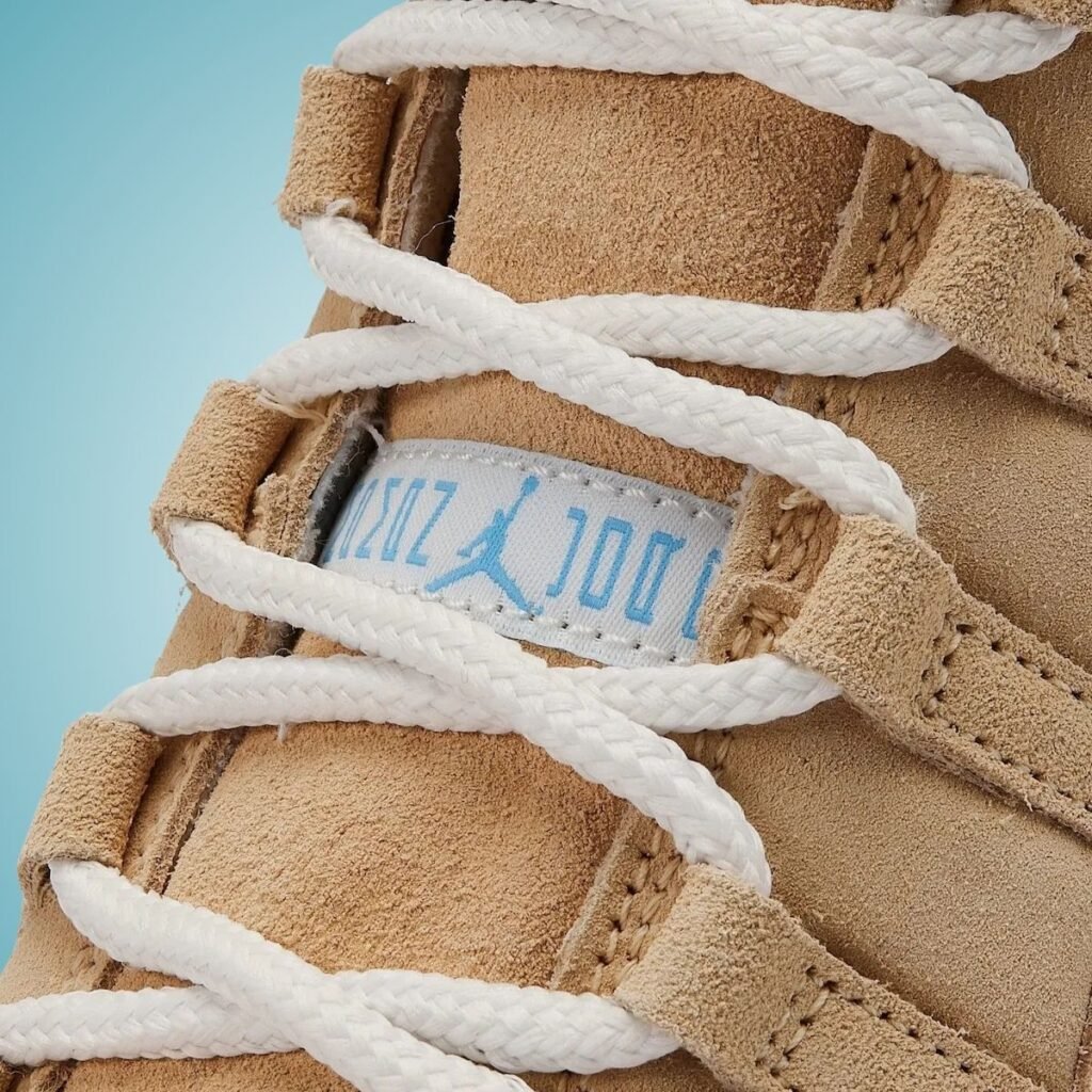 Air Jordan 11 H-Town Houston IO8960-707