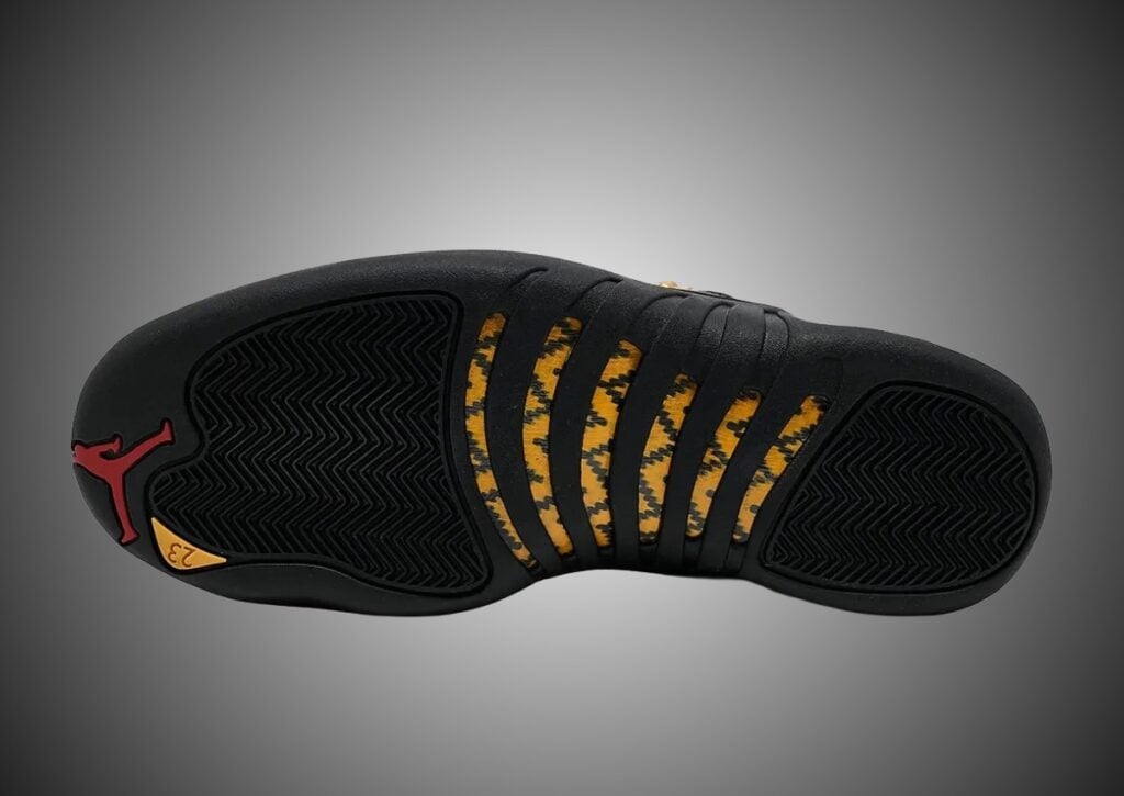 Taxi Air Jordan 12 2025