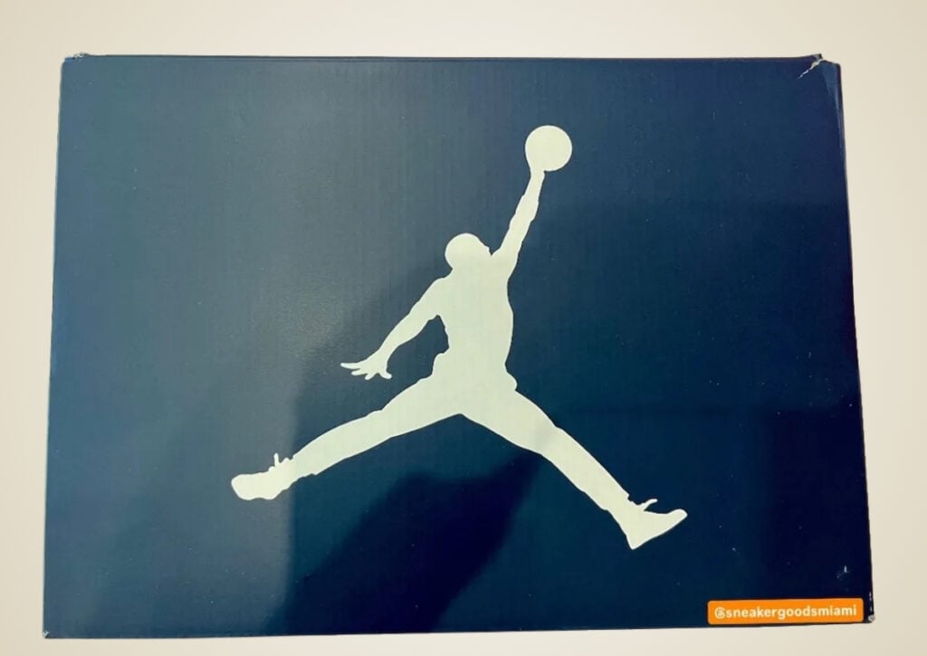 Air Jordan 3 Sports Renaissance CK3246-400