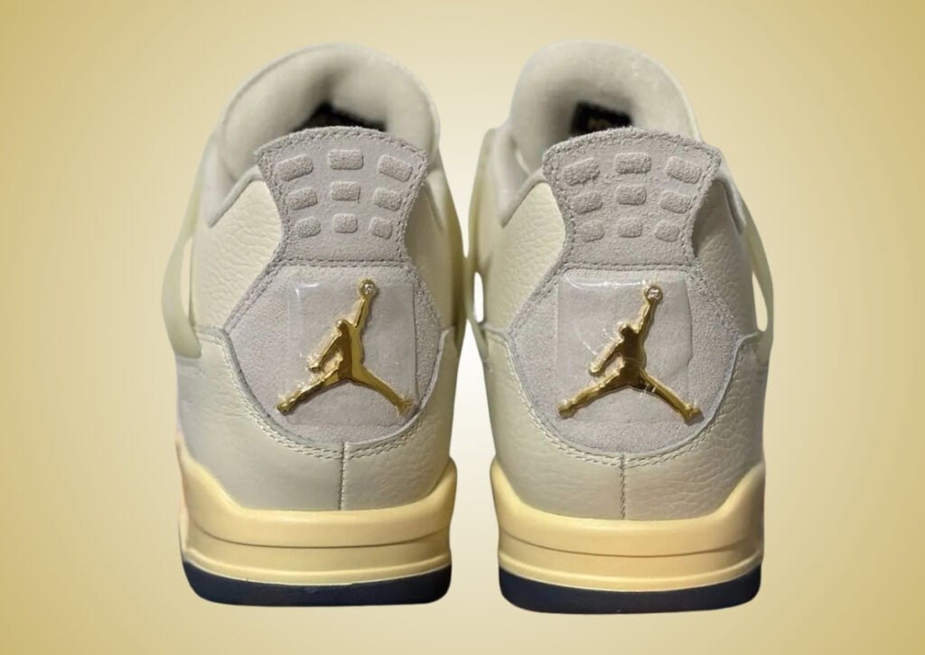 Air Jordan 4 Birds of Paradise HV0823-101