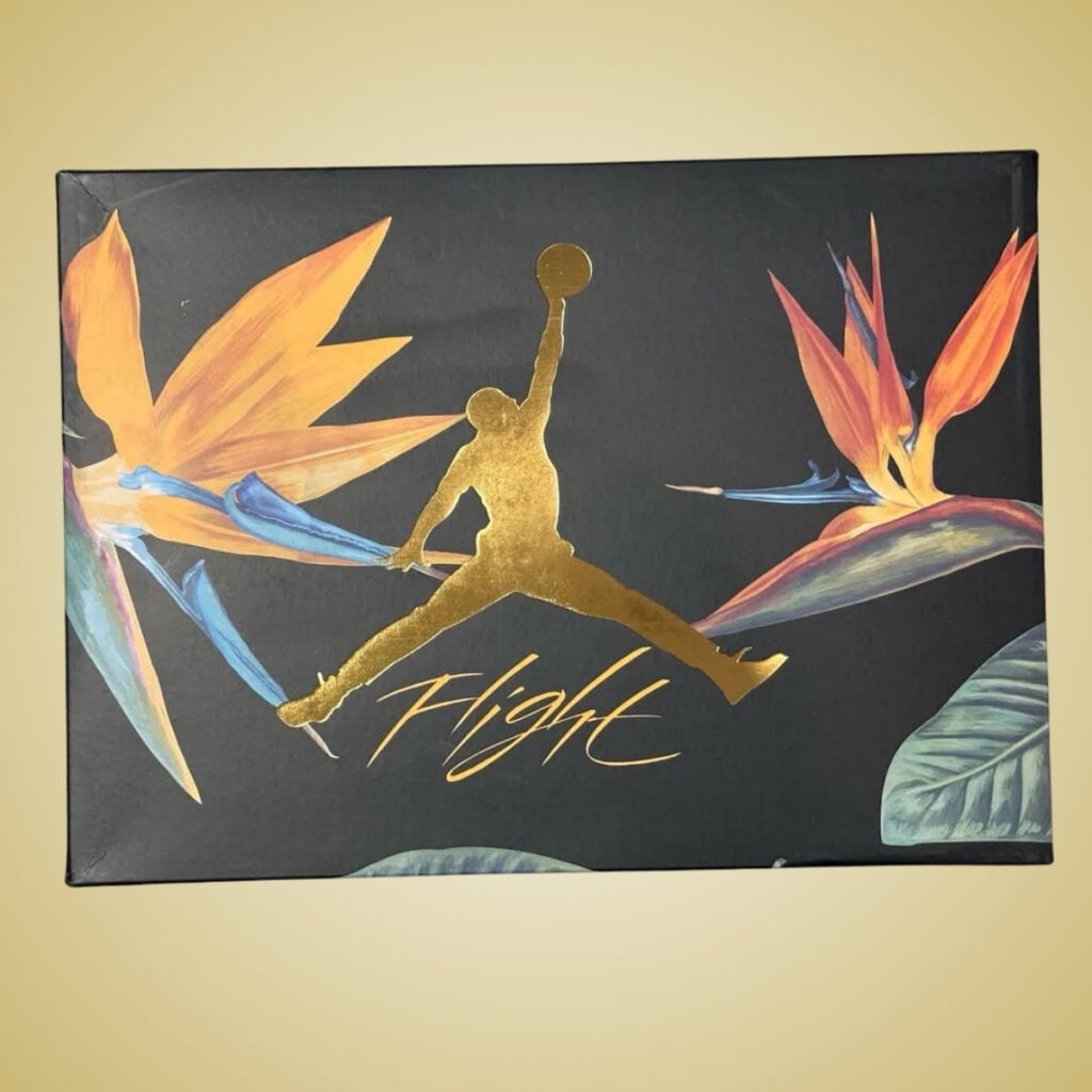 Air Jordan 4 Birds of Paradise HV0823-101