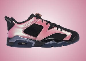 Air Jordan 6 Low Desert Berry Black IX5195-001