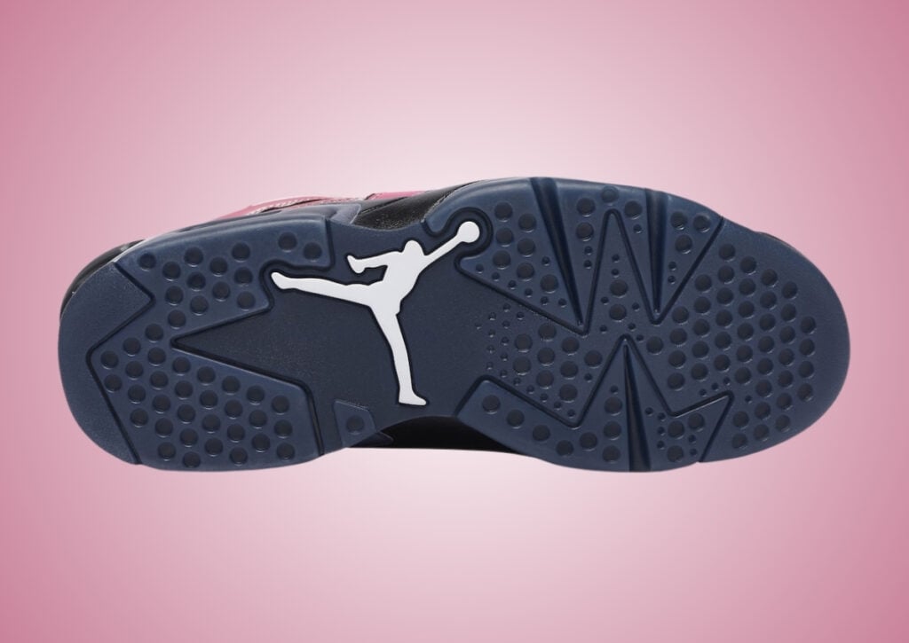 Air Jordan 6 Low Desert Berry Black IX5195-001