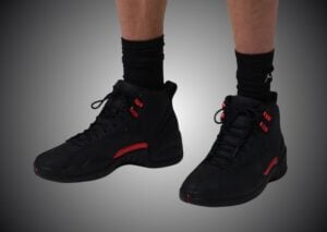 Air Jordan 12 Bloodline CT8013-001