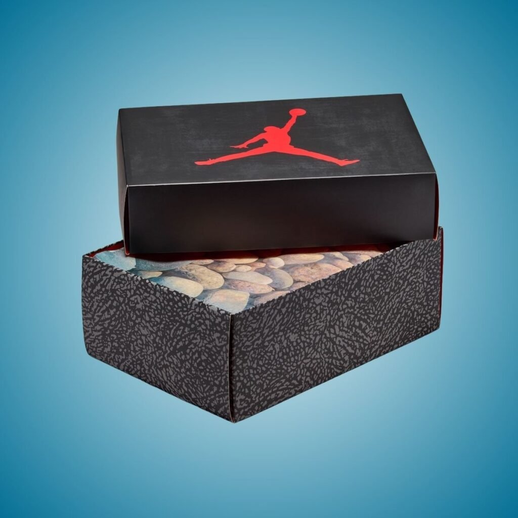 Air Jordan 3 We Outside IB7066-001