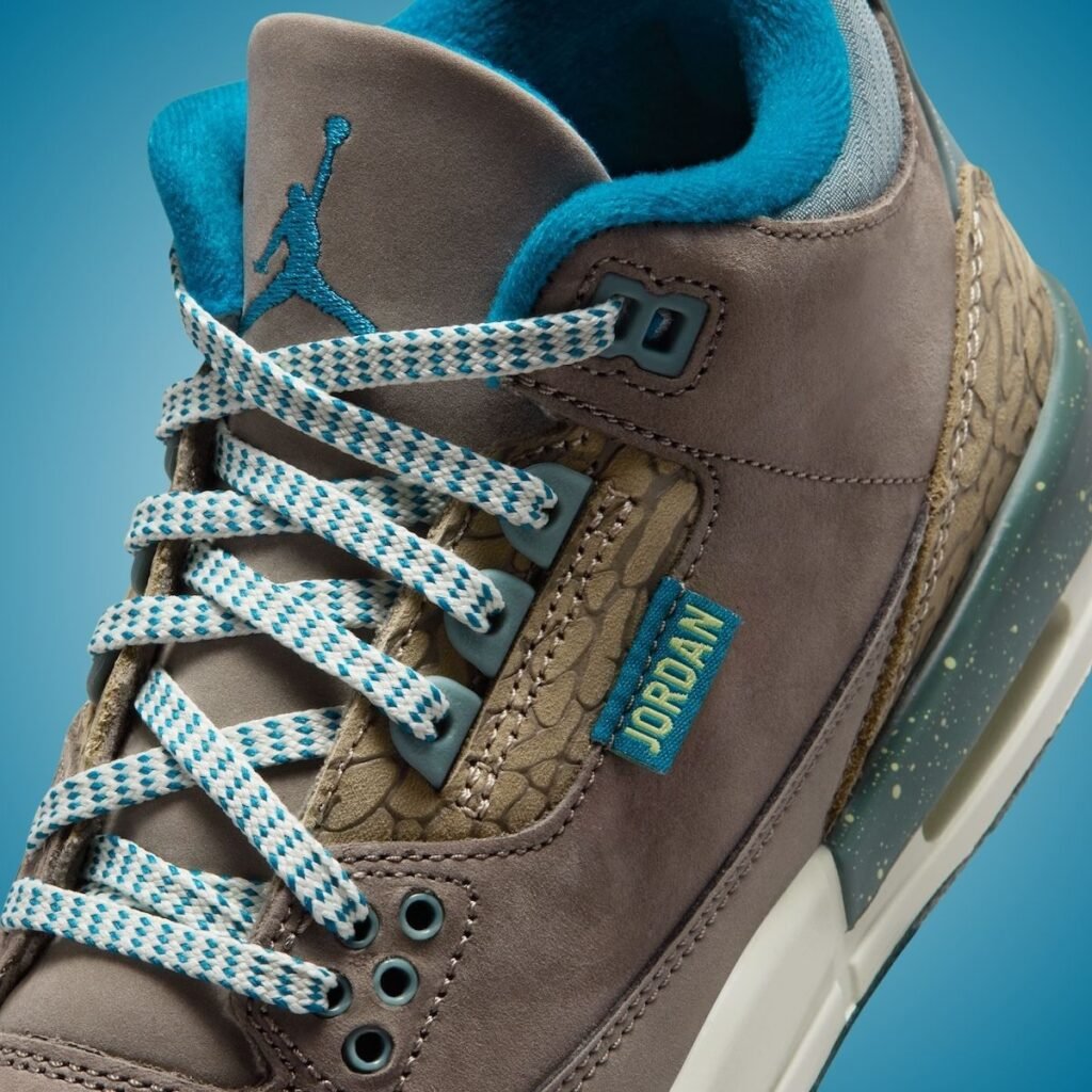 Air Jordan 3 We Outside IB7066-001