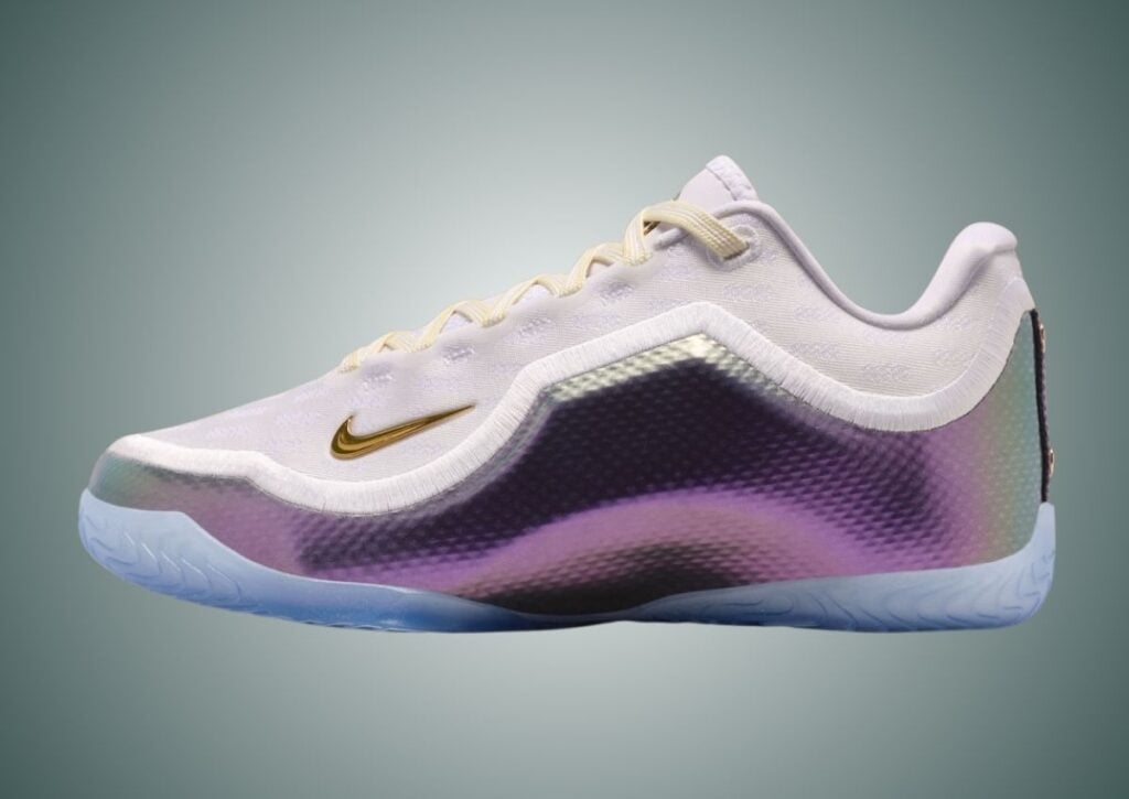 Nike LeBron 23 For The Record IB9557-100