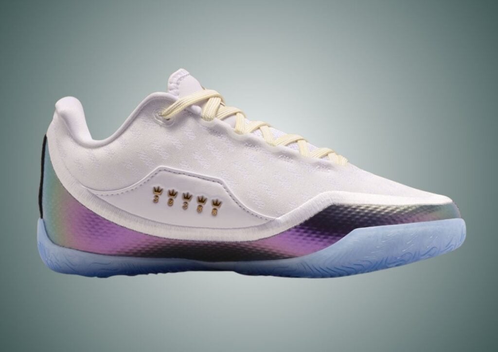 Nike LeBron 23 For The Record IB9557-100