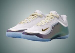 Nike LeBron 23 For The Record IB9557-100