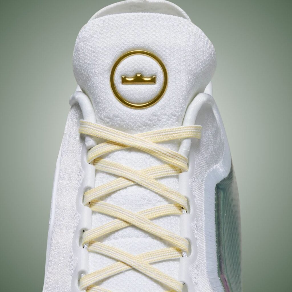 Nike LeBron 23 For The Record IB9557-100 Release Info