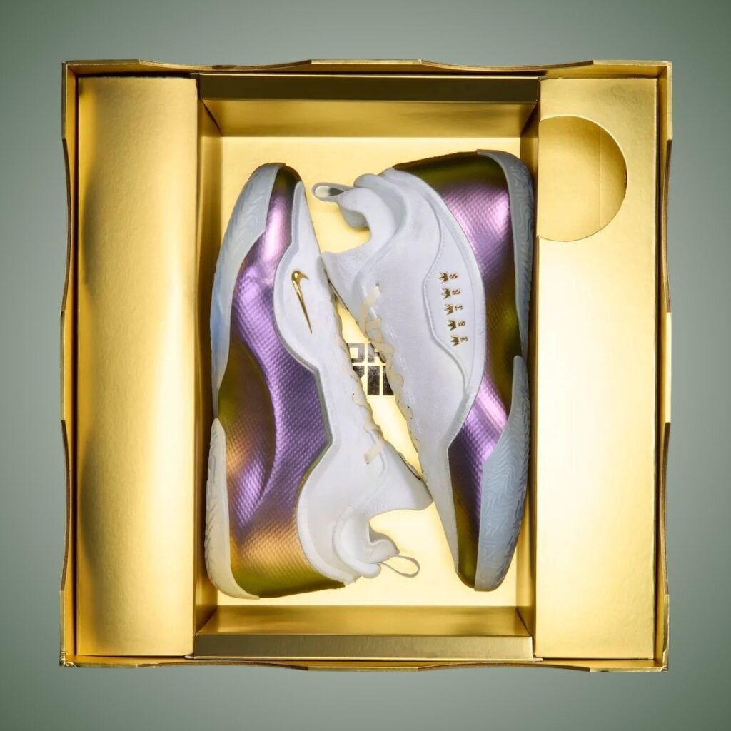 Nike LeBron 23 For The Record IB9557-100 Release Info