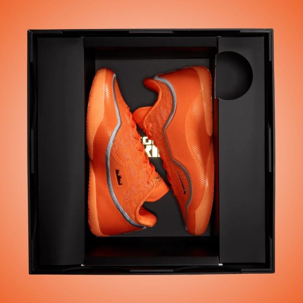 Nike LeBron 23 Shoe Bag Mega Deal IV5647-800