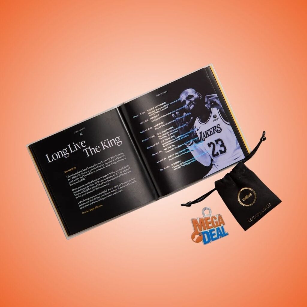 Nike LeBron 23 Shoe Bag Mega Deal IV5647-800