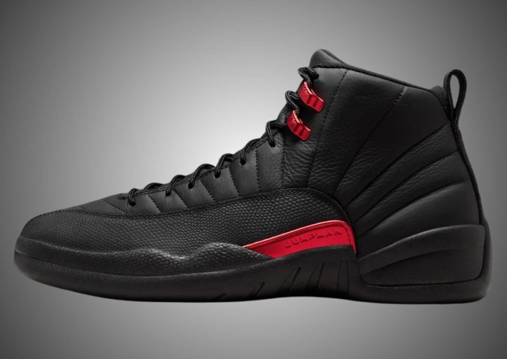 Air Jordan 12 Bloodline CT8013-001 Release Info