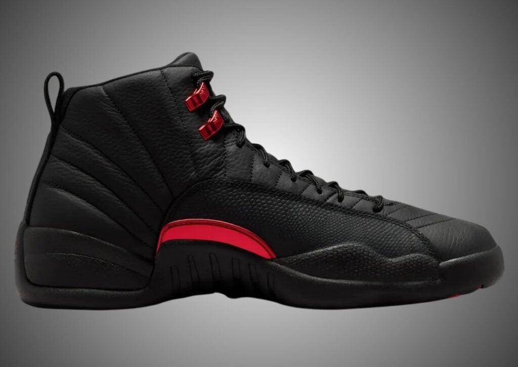 Air Jordan 12 Bloodline CT8013-001 Release Info