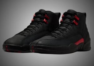 Air Jordan 12 Bloodline CT8013-001 Release Info