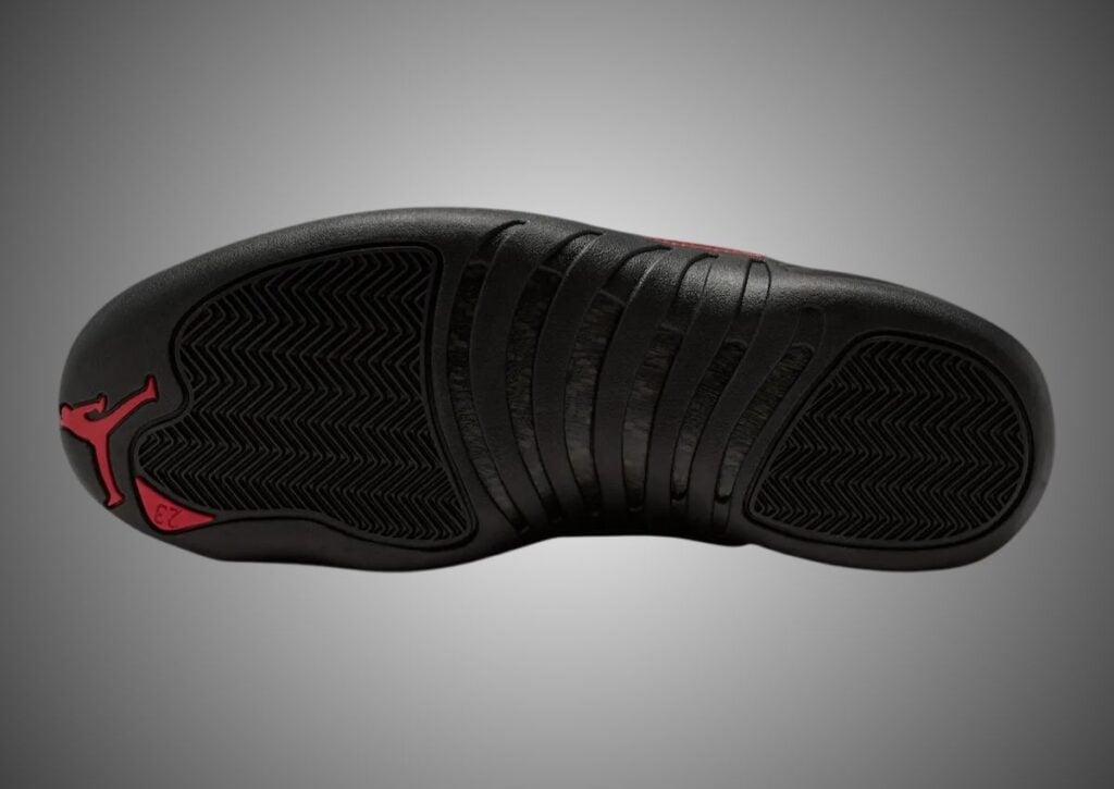 Air Jordan 12 Bloodline CT8013-001 Release Info