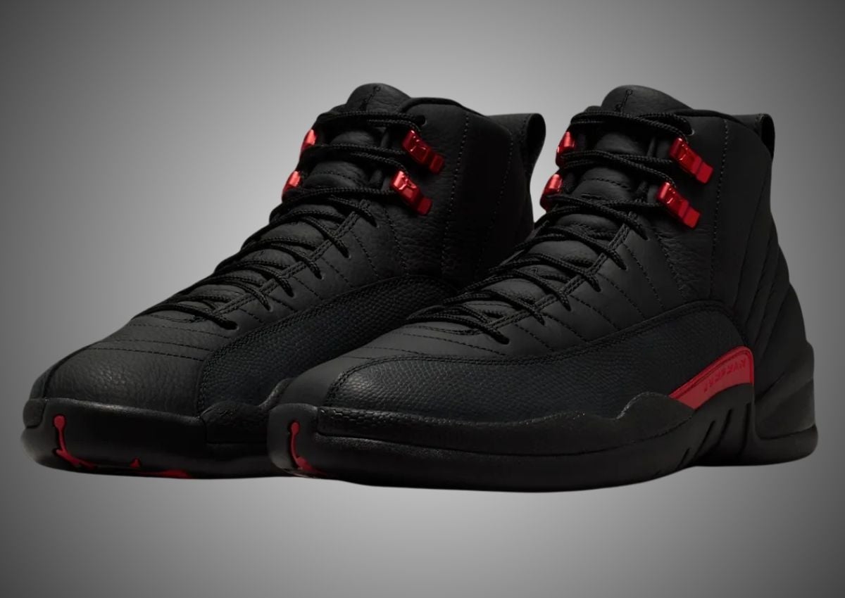 Air Jordan 12 Bloodline CT8013-001 | SneakerFiles Air Jordan 12 Bloodline CT8013-001 | SneakerFiles