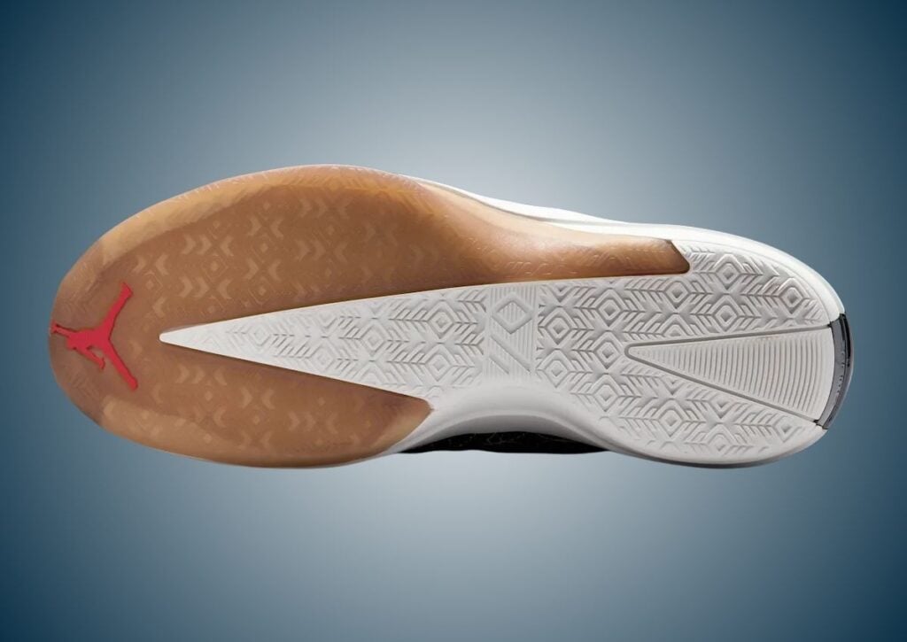 Air Jordan 4028 Rui Hachimura IQ5893-400