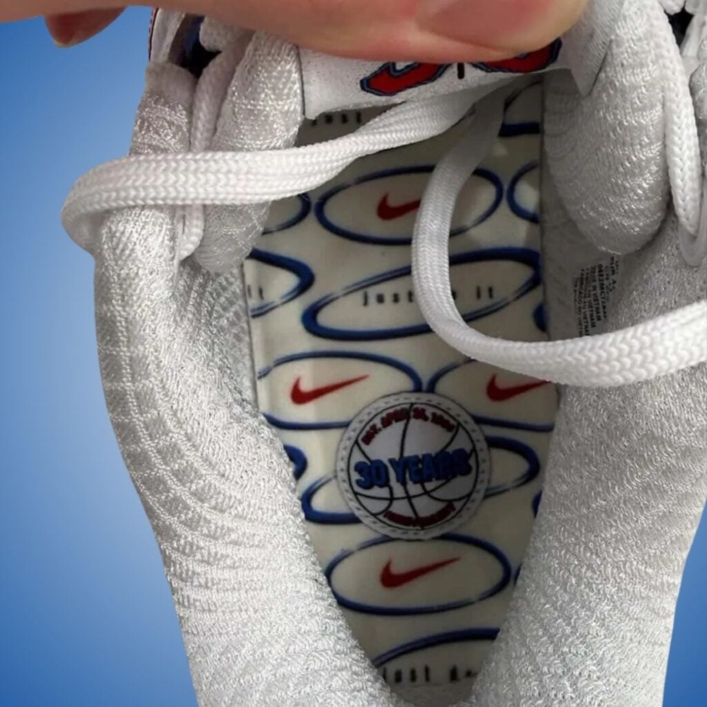 Nike Book 2 WNBA 30th Anniversary IR6333-100