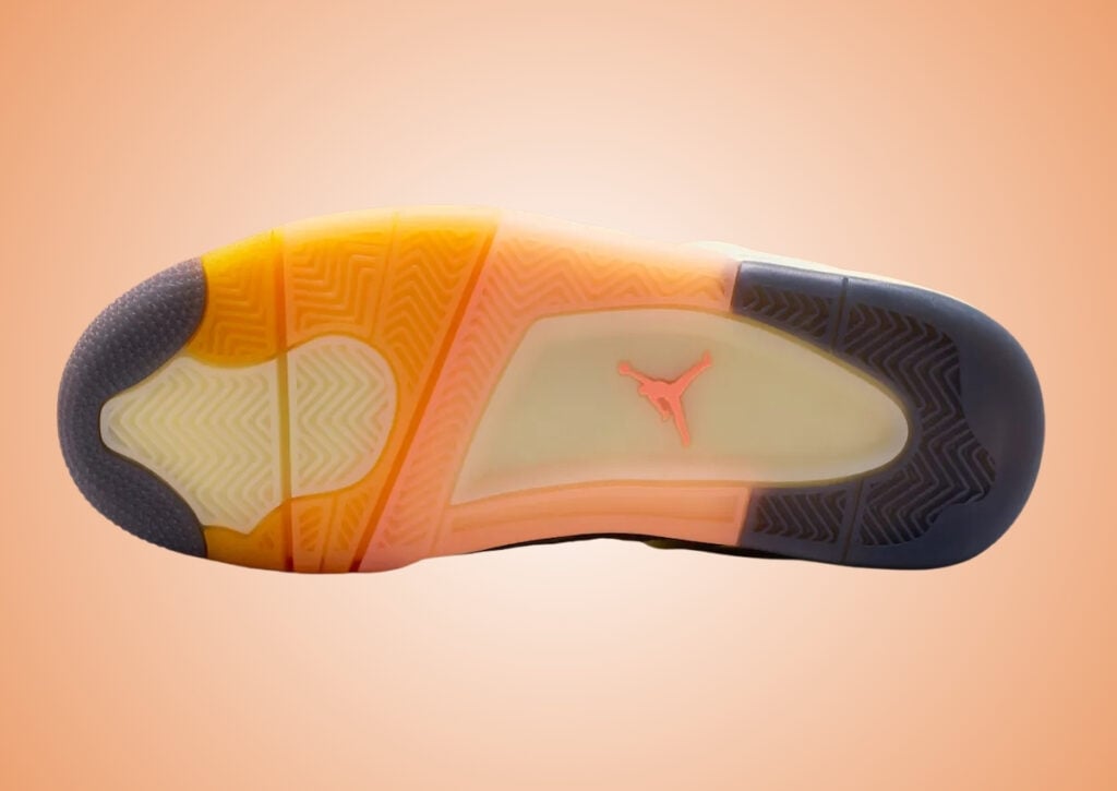 Air Jordan 4 Birds of Paradise HV0823-101 Release Info