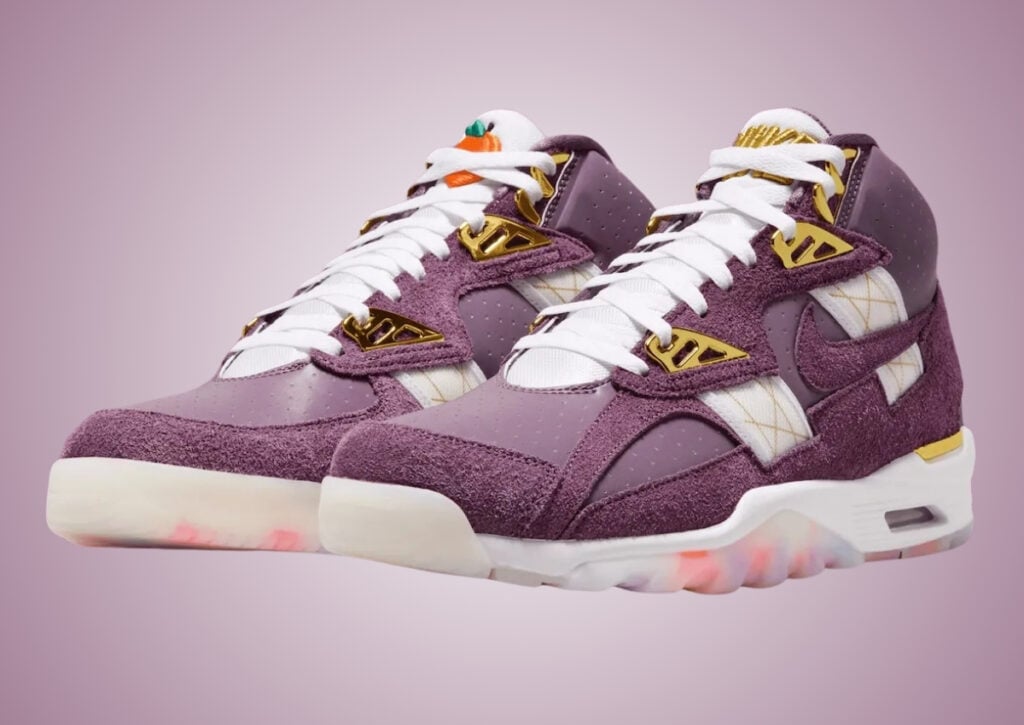 Nike Air Trainer SC Atlanta Olympics 30th Anniversary IQ5796-500