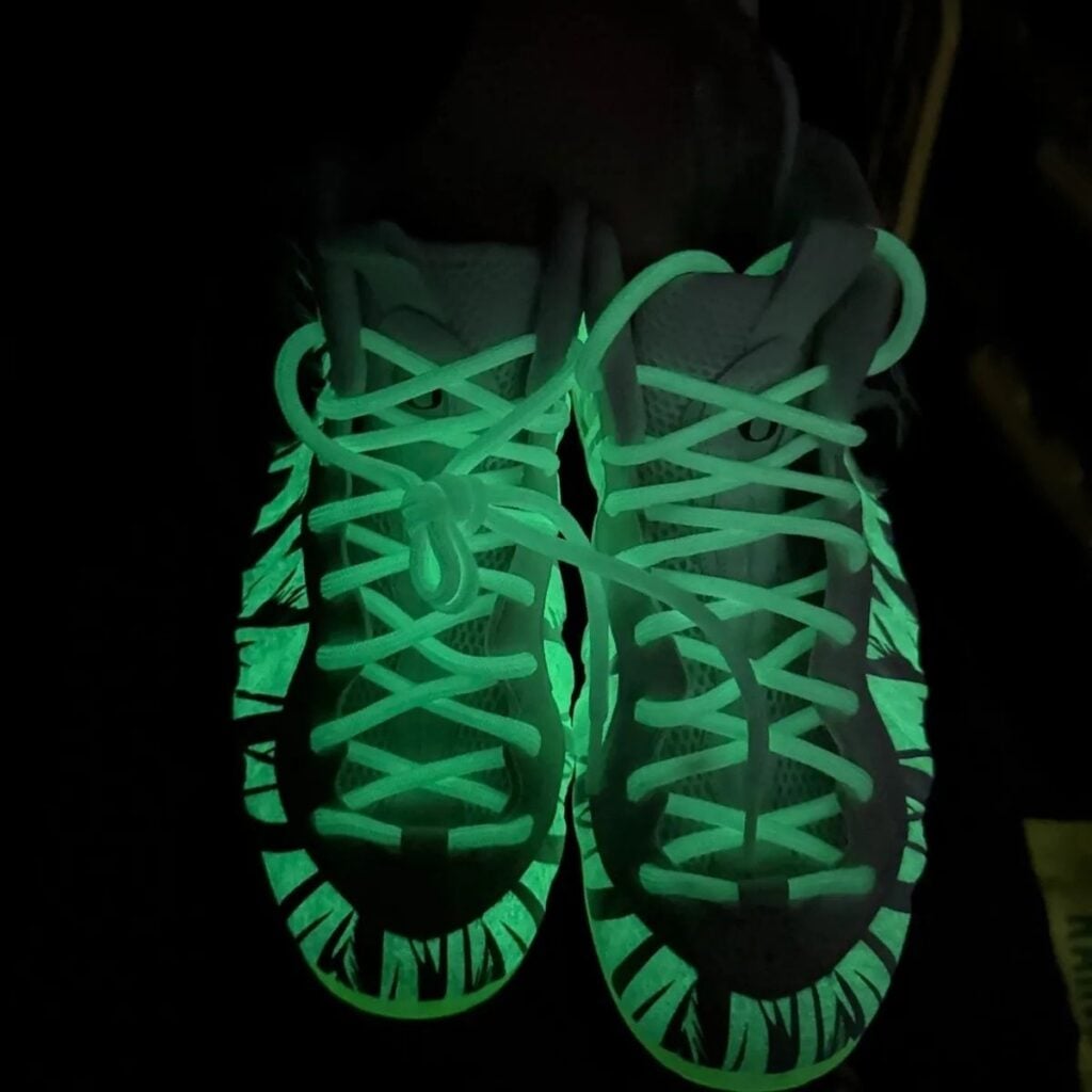 Oregon Ducks Nike Air Foamposite Pro Mummy Duck Phantom JA5895-001
