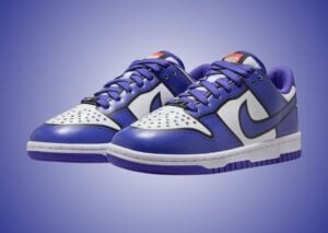 LEGO Nike Dunk Low Bright Concord IF2117-102