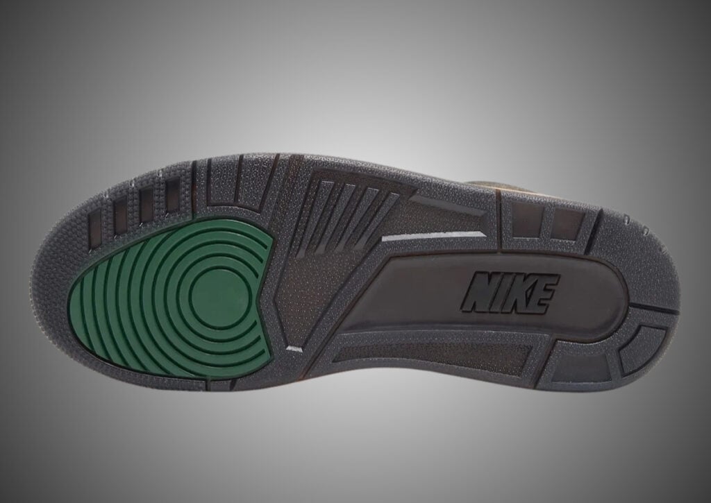 Air Jordan 3 Not Nice IF4396-001