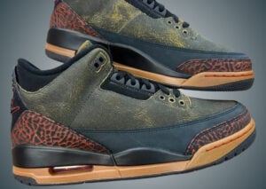 Not Nice Air Jordan 3 Release Info