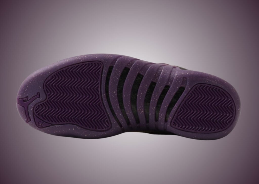 Air Jordan 12 Sumo IW1218-098