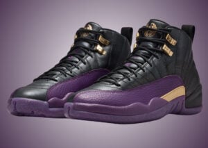 Air Jordan 12 Sumo IW1218-098 Release Info
