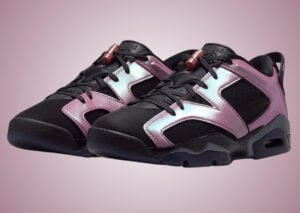 Air Jordan 6 Low Metamorphosis IX5195-001