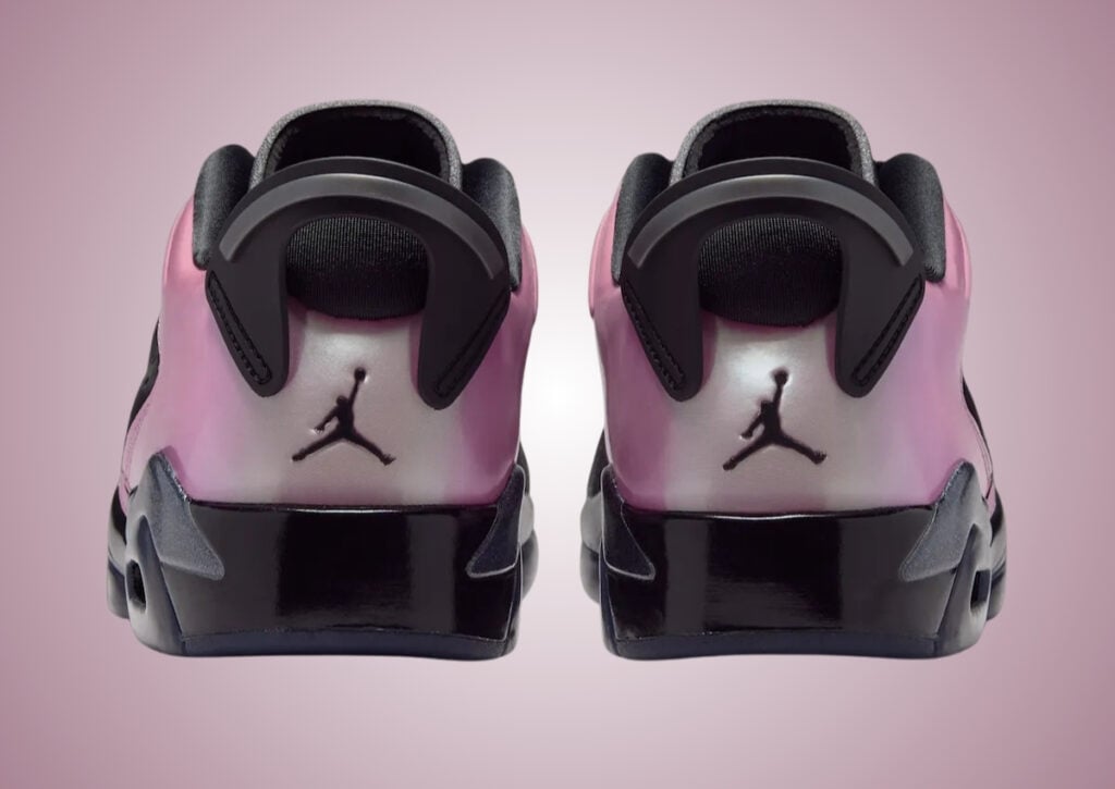 Air Jordan 6 Low Metamorphosis IX5195-001