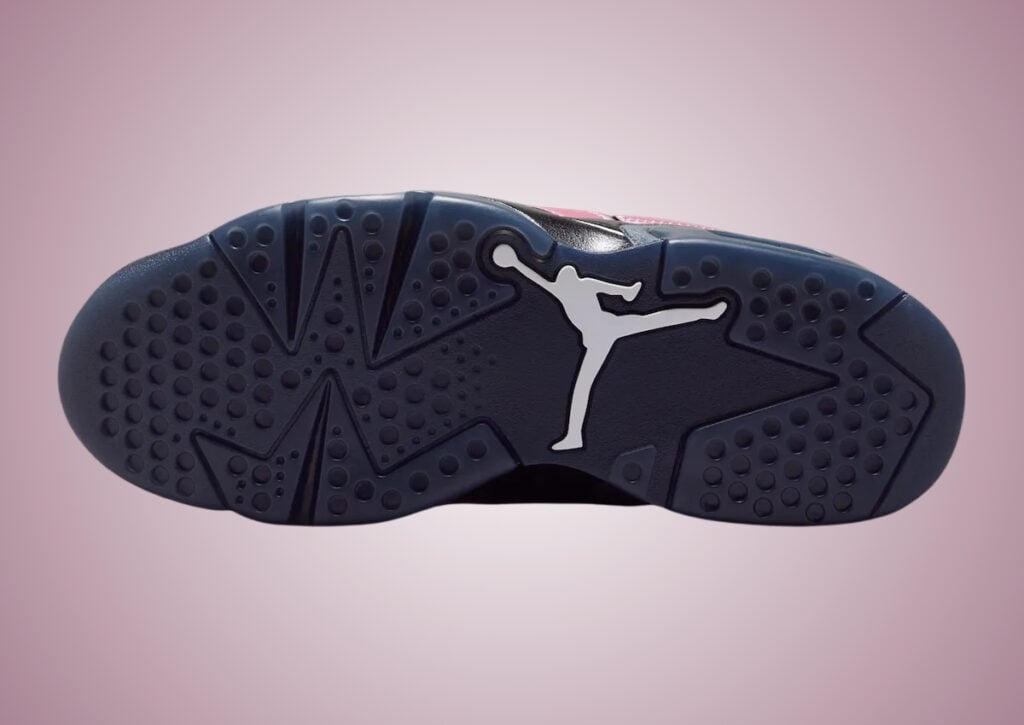 Air Jordan 6 Low Metamorphosis IX5195-001